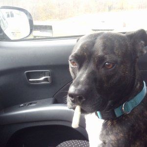 Meet your Posher, Cindi